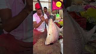 KASIMEDU GIANT TREVALLY FISH CUTTING VIDEO / cutting focus #kasimedu #bigfishcutting #cuttingskills