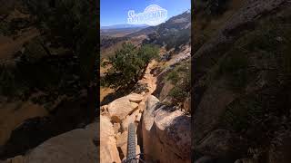 This trail doesn't mess around!   #shorts #mountainbike #bike #mtb #mtblife #surprise #mistakes