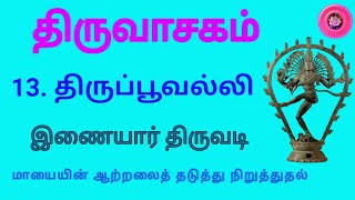 திருவாசகம் || 13/51 திருப்பூவல்லி / இணையார் திருவடி / திருச்சிற்றம்பலம்