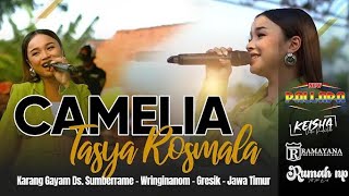 camelia - hanya satu - kalah materi || tasya rosmala ft new pallapa full album terbaru