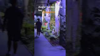 Avatar singapore gardens by the bay #singapore #youtubeshorts #shorts #instagram #explore #avatar