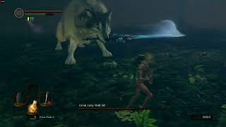 Sl1 No roll/block/parry Great Grey Wolf Sif - Dark Souls Remastered