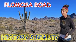 Exploring Plomosa Road In Quartzsite Arizona With Drone Footage