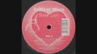 Critical Mass   Burnin Love DJ Ham Hard Mix