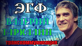 Валерий Гаркалин реальный ЭГФ с потусторонним миром † Вызов Духов через белый шум ФЭГ