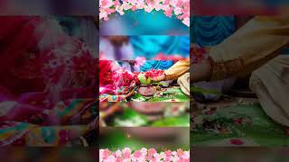 হাতের বন্ধন❤️❤️❤️#shortvideo #shortsfeed #shortvideoviral