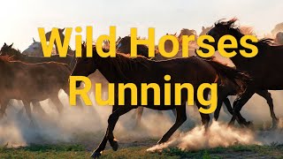 Beautiful Relaxing Music, Peaceful Soothing Instrumental Music -Horses