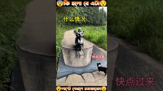 গার্লফ্রেন্ডের সাথে লাস্টে কি হলো 😮 #shorts