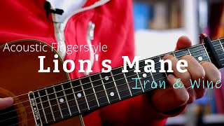 Iron & Wine - Lion's Mane Guitar Lesson