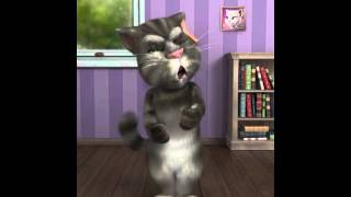 Talking Tom goes crazy