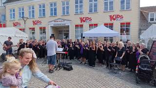 Møns gospelkor med venner ( The gospel train ). Til Vordingborg festuge.