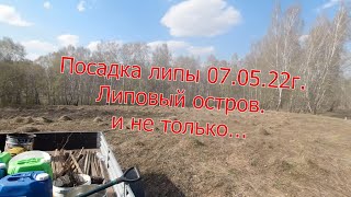 Посадка липы 07.05.22г. Липовый остров и не только...