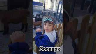 Зоопарк #семья  #жизньвофранции #Sangarefamily #zoo #животные #funny