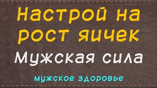 Настрой на рост яичек - мужская сила - мужское здоровье