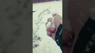 snowfall video#shorts#viral #youtube