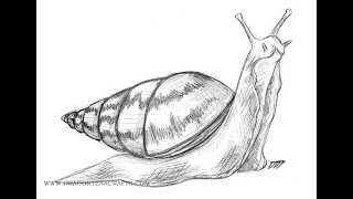 Spirit-Caller Snail