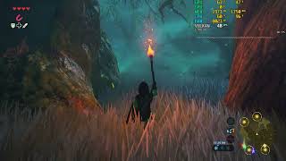 RX 580 8gb mingzhou -  Zelda Breath Of The Wild - i5 3570 - ph861m lx2 r2.0 - CEMU