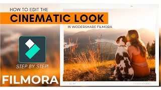 How to get the CINEMATIC LOOK in Filmora | Easy steps