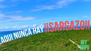 ✅CANCUN 2021🔴 ¿Que hacer? 4 destinos donde 🌴NUNCA hay SARGAZO - Guia del  Viajero | Rey Trips👑