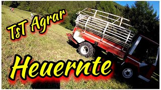 👨‍🌾Agrarwirtschaft in den Bergen 🏔 : Heuernte in den Bergen mit Lindner T3500 🍀