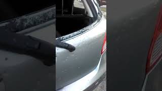 Goatman ATTACKED with GUNFIRE on CAR! He is a pet goat too!