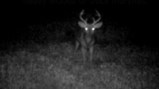 Sandhill Orchard   Bucks Visit   16Sept2014