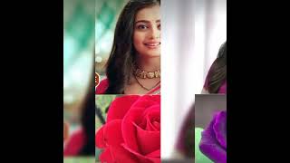 Dangal TV  💝  mishri 🆚Mahua 🆚 Mahka same dress matching rose 🌹 flower 💯🌹#trending #short #shorts