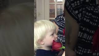 Funny Youngster Smelling & Tasting Beautiful Bouquet of Fresh Red Roses #trending #viralvideo #rose