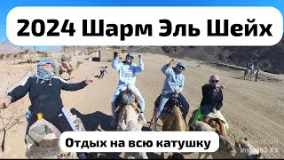 2024 Фильм как мы отдыхали в Египте «Отдых на полную катушку» MARINA SHARM HOTEL 4*