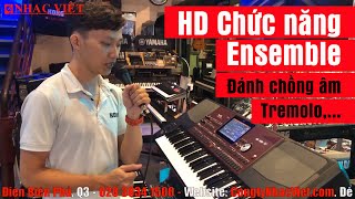 HDSD KORG PA700 - Chức năng Ensemble (Đánh chồng âm, Tremolo,...)