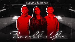 KOLABA & АЛІНА ЖУК - Волошковий цвіт (Official Lyric Video)