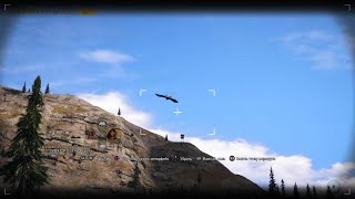 Где найти орла и как его убить Far Cry 5