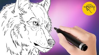 How to Draw a Wolf