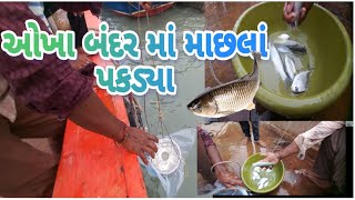 ઓખા બંદરમાં જેટીયે માછલાં પકડ્યા ||okha port fishing ||fish ||સમુદ્રીય નઝારો 33