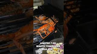 Masak Lobster 7 Kg - Bikin Laper  !