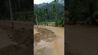 Banjir di Kampung Tanjuang Duku Utara Tarusan Kab Pesisir Selatan #pesisirselatan