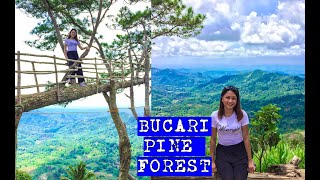 Iloilo City 2019 - Guide for Tourists | Leon | Bucari Pine Forest & Iloilo Food Trip