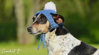 Crochet Dog Beanie Hat | Medium | Crochet It