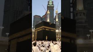 سلام لیجئے غلام آیا ❣️#welovemuhammadﷺ  #allah #shorts #youtubeshorts