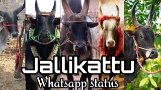 Jallikattu whatsapp status tamil ||Trending edits