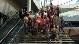 Van Gogh Museum Amsterdam flashmob Lucia Marthas LMIPA