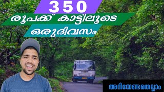 കാട്ടിലൂടെ ഒരു ദിവസം മുഴുവനും യാത്ര ചെയ്യാം  മലക്കപ്പാറയിലേക്ക് | manoftravel | malayalamtour |