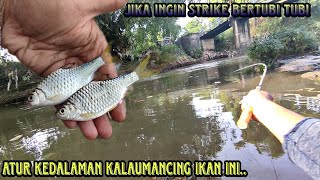 Dijamin Pasti Dapet Banyak Ikan ini || Gak PERCAYA?? Silahkan Dibuktikan #mancingliar