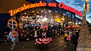 Zocaleando en Oaxaca Sábado 9 Diciembre