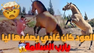 Vlog: دوزت نهاري مع أخطر عود في دكالة (كان غادي يطيحني)