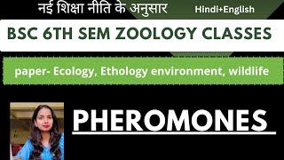 Bs. 6th sem zoology classes paper 2nd|pheromones|Ecology ethology environment wildlife| #bsc #exam