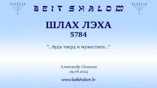 ШЛАХ ЛЭХА 5784. "...будь тверд и мужествен..." (Александр Огиенко 29.06.2024)