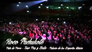 Roco Pachukote - Pata de Perro - Tour Paz y Baile 2013