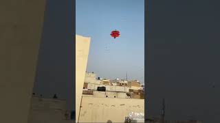 Red Big patang flying