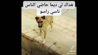 هداك اللي ديما حاضي الناس وناسي راسو 🤣🤣🤣